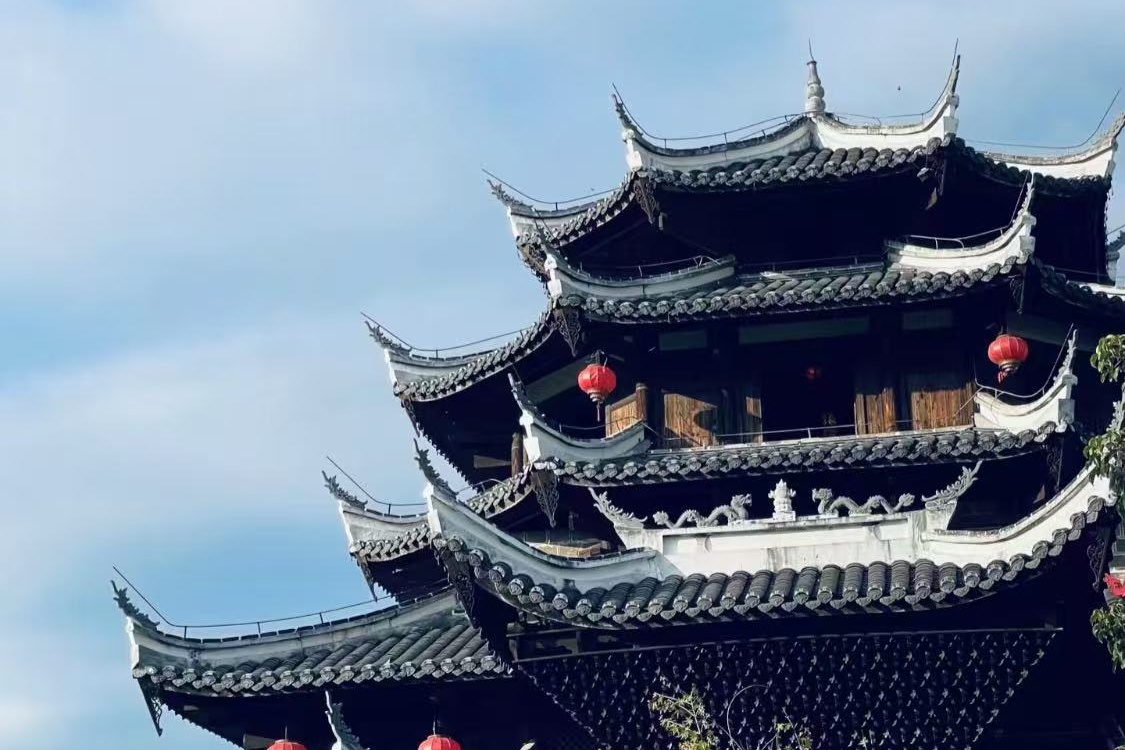 Wolong Academy